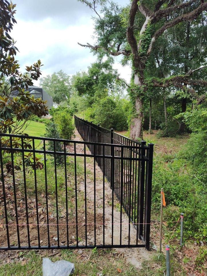 Black aluminum ornamental fence bordering a wooded backyard with a magnolia tree.