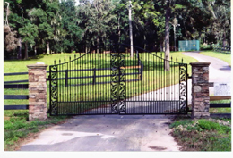 A black gate for a park